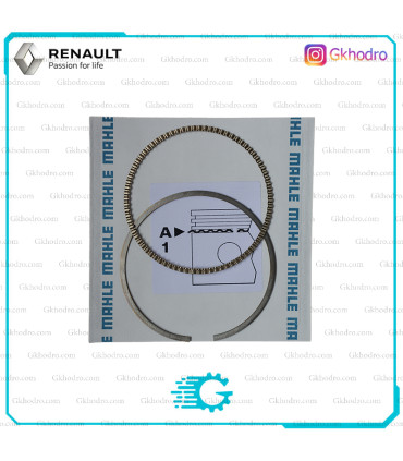 رینگ موتور ساندرو